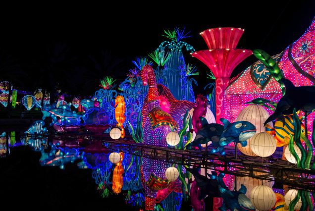Dubai, United Emirates, November Glow garden in Duba