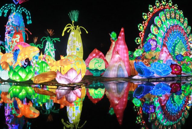 Neon wodnerland Dubai Garden Glow