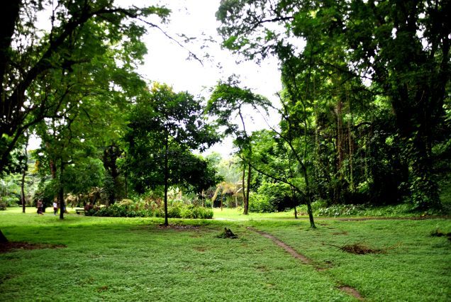 Botanic garden limbe