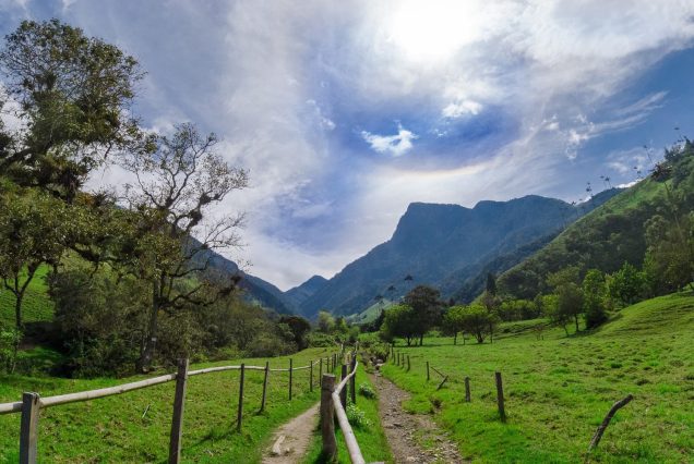 cocora valley colombia header scaled
