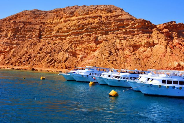 amarcotours