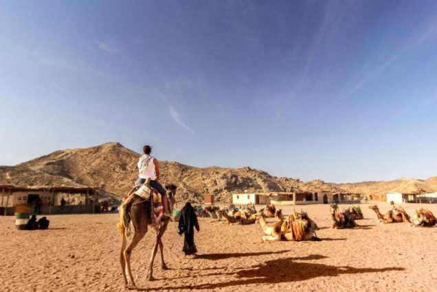 amarcotours