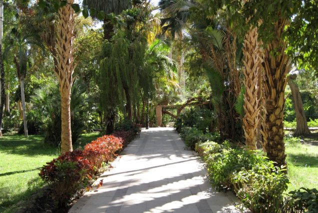 Aswan botanical garden