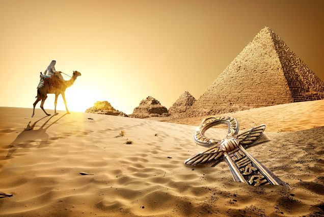 Egypt Desert Camels