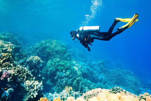 Hero interest snorkeling