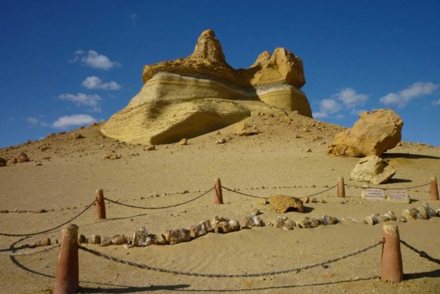 Things to do in fayoum Egypt