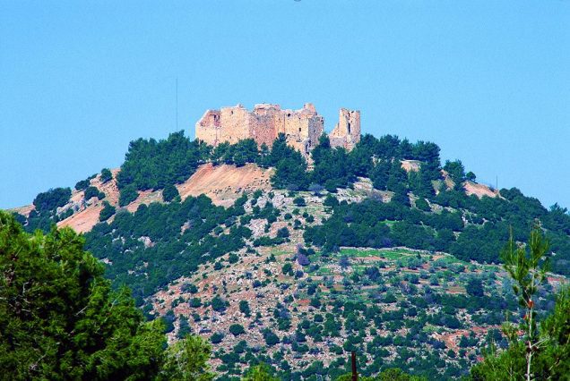 amarcotours