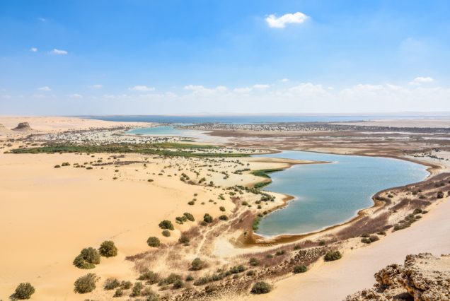 fayoum