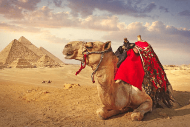 amarcotours