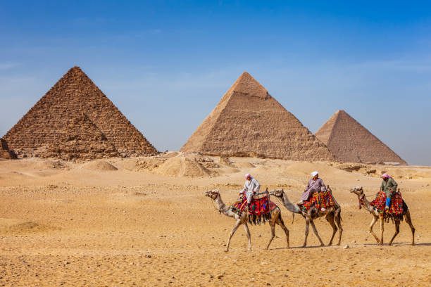Bedouins riding on camels pyramids on the background Giza Egypt