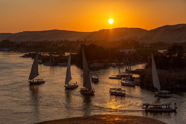 Beautiful view on felucca boats on Nile river in Aswan at sunset, Egypt