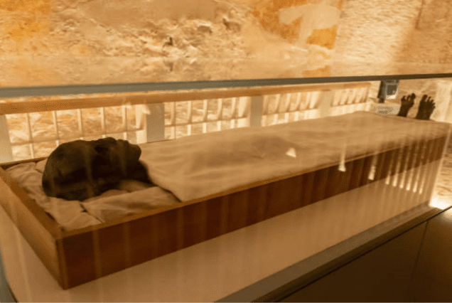amarco tours