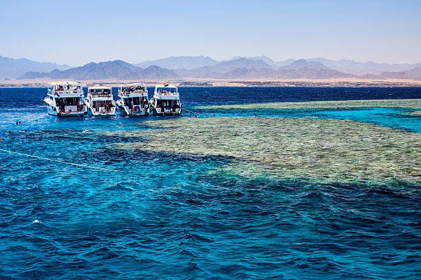 Turist trip boats anchored near the coral reef for scuba diving