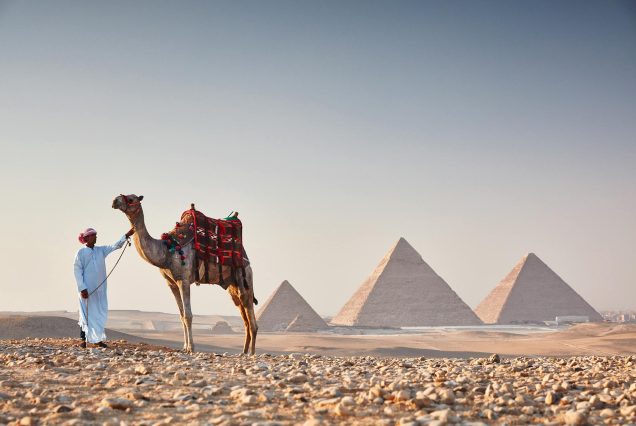 Bedouin with his camel in front of the Great Pyramids of Giza, Cairo Egypt