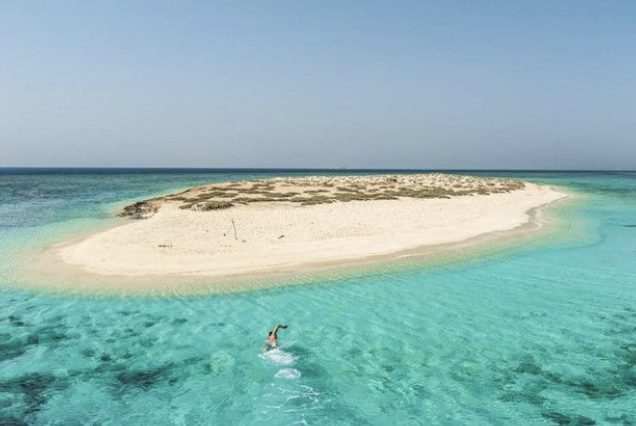 amarcotours