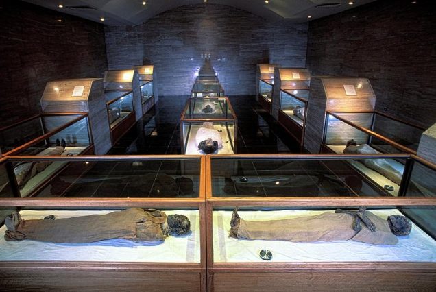 egyptian mummies patrick landmannscience