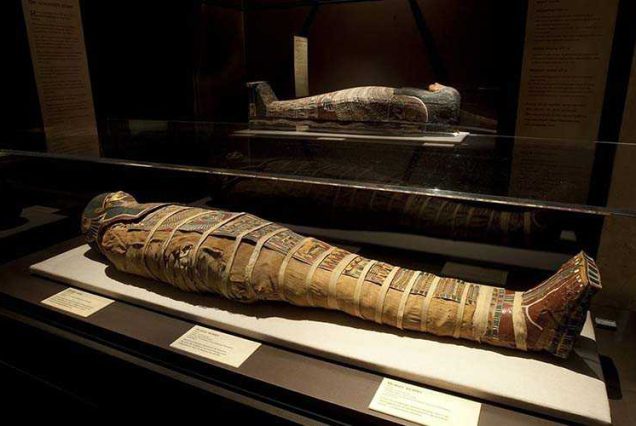 mummfication museum luxor