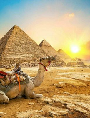 amarcotours