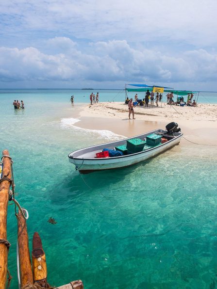 kwale island zanzibar